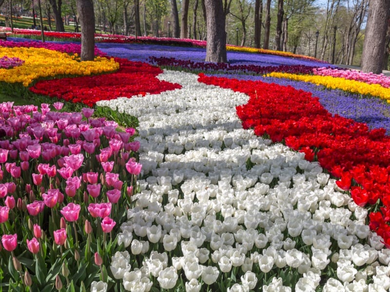 Park ve Bahçe